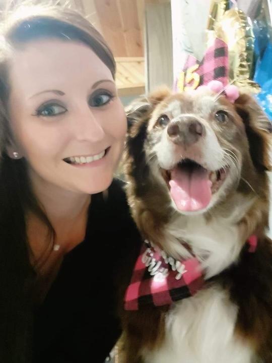 Harmony MobileVeterinary Clinic Sault Ste Marie, MI Our Staff